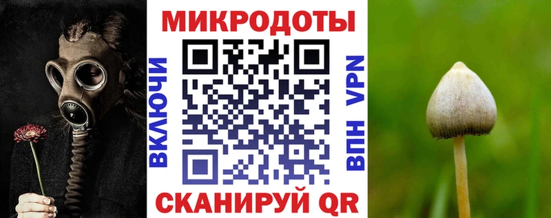 Псилоцибиновые грибы прущие грибы ОМГ ОМГ ССЫЛКА Канаш